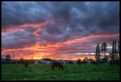 Farm sunset HDR