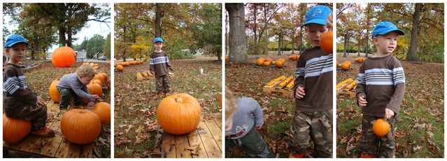 Pumpkin collage 2009_2
