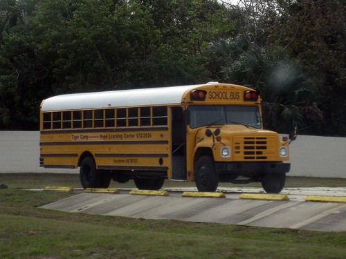 Ward School Bus