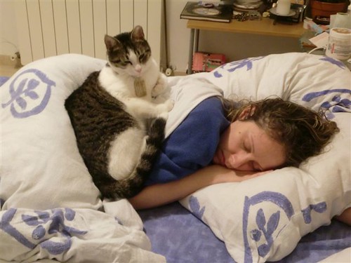 Helpful Cat Helps You Sleep