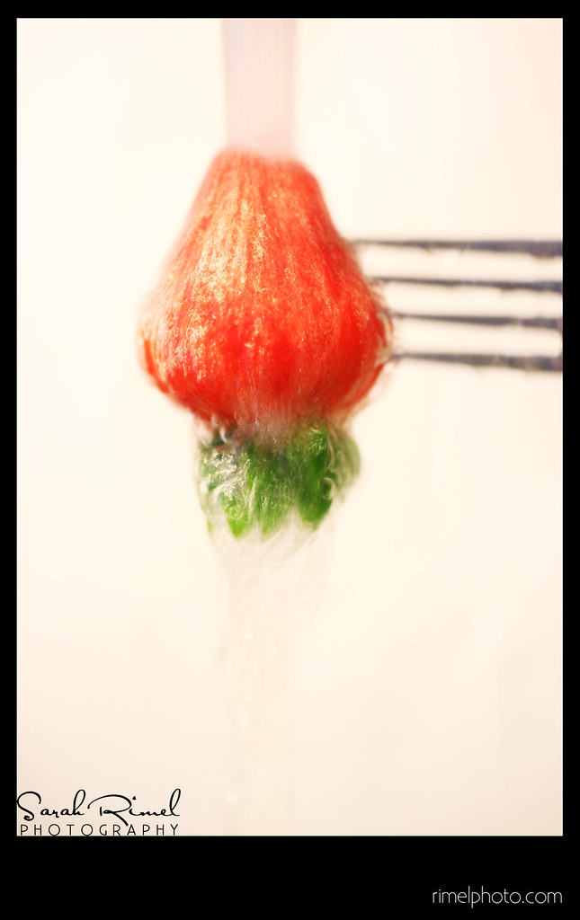 Water Strawberries 02