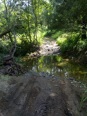 Along The Old North Road: Gregors Creek