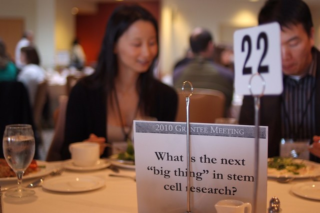 What is the next "big thing" in stem cell research?