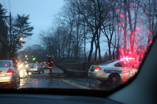 Police re-direct traffic around a downed tree in the middle of the road. 