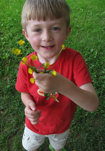 oliver and yellow flowers