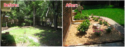 backyard_before-after3