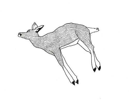 dead deer III