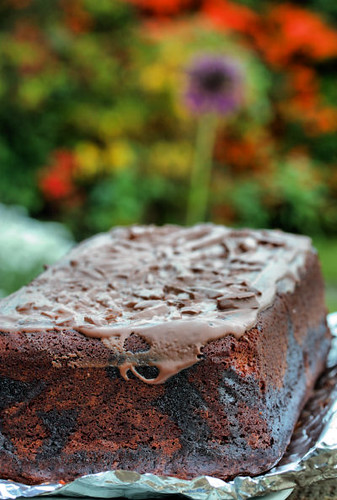 chocolate loaf cake 8808 R