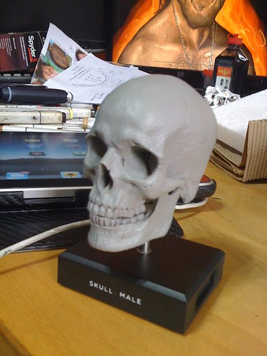skull model