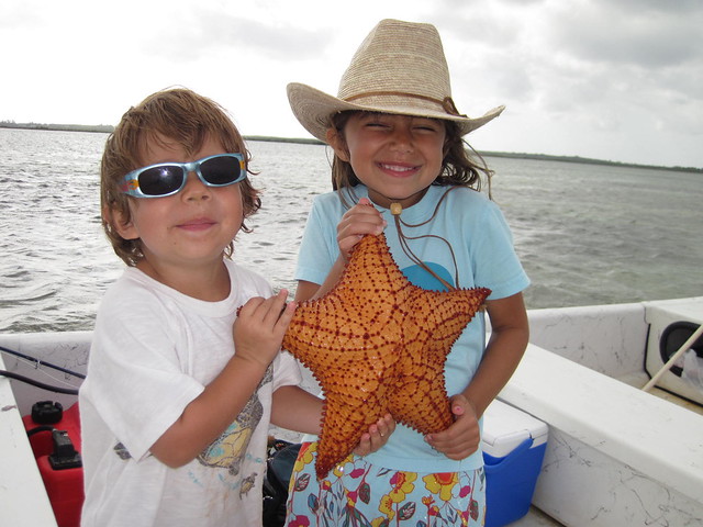 starfish bahamas 