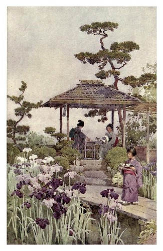 023- Un jardin de iris en flor-The flowers and gardens of Japan (1908)-  Ella Du Cane