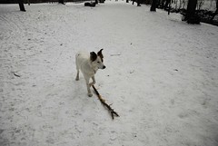 My stick now.
