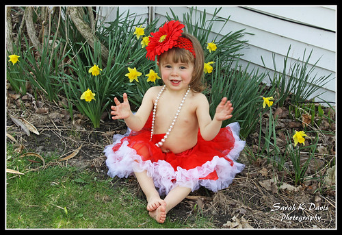 Clapping for daffodils