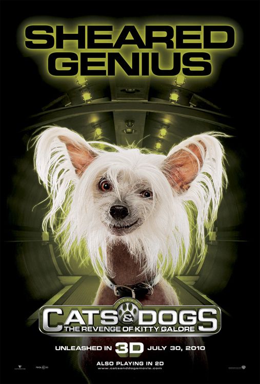 Cats And Dogs 2 The Revenge Of Kitty Galore 2