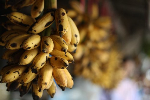 Tiny bananas, Tagaytay, Philippines