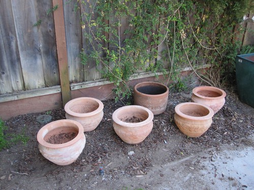 Pots for herbs