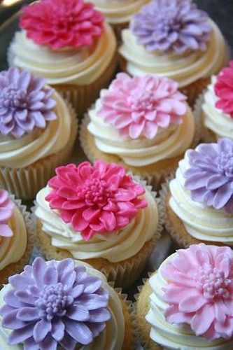 Chrysanthmums Cupcakes