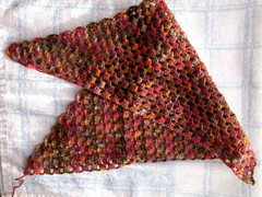 Crochet Shawl in Progress