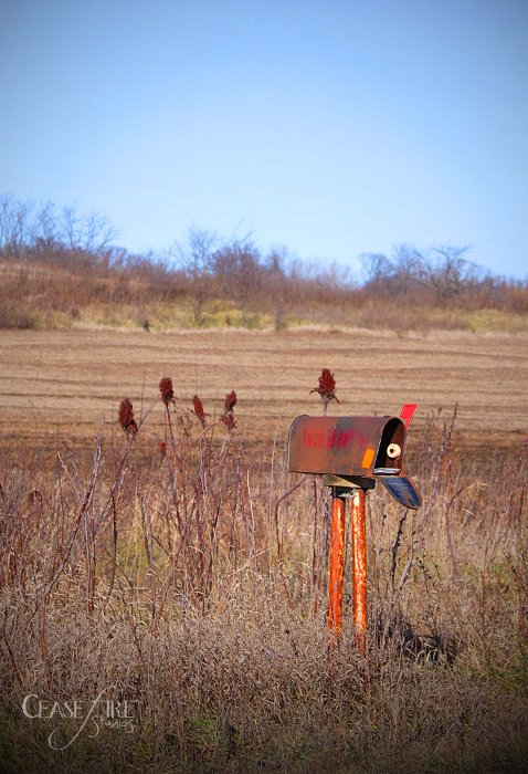The abandoned mystery mailbox