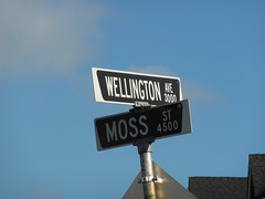 Panneaux des rues Moss st et Wellington st à Vancouver