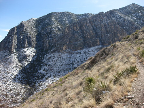 20 minutes into the Tejas Trail looking S at the Guadalupe Ridge
