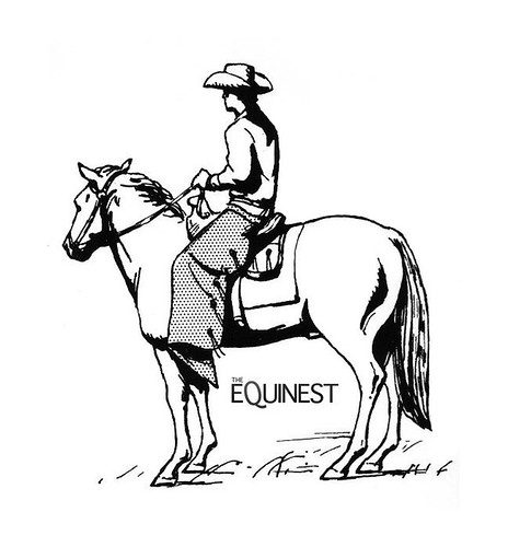 coloring pages of horses. Horse Coloring Page