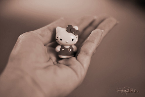 Hello Kitty - 66/365 Photo