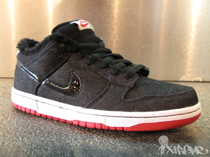 Nike SB March 2010 Shoes (Larry Perkins|Chirp)