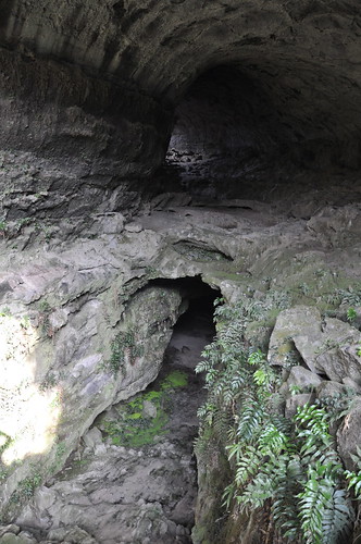 Snake cave