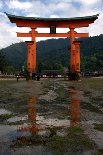 View of the torii looking back to the shrine