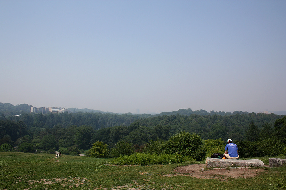 smokey view from peters hill at arnold arboretum