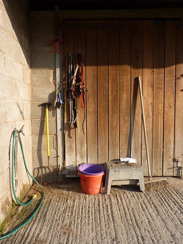 Stables With Horses. Horse stable tools