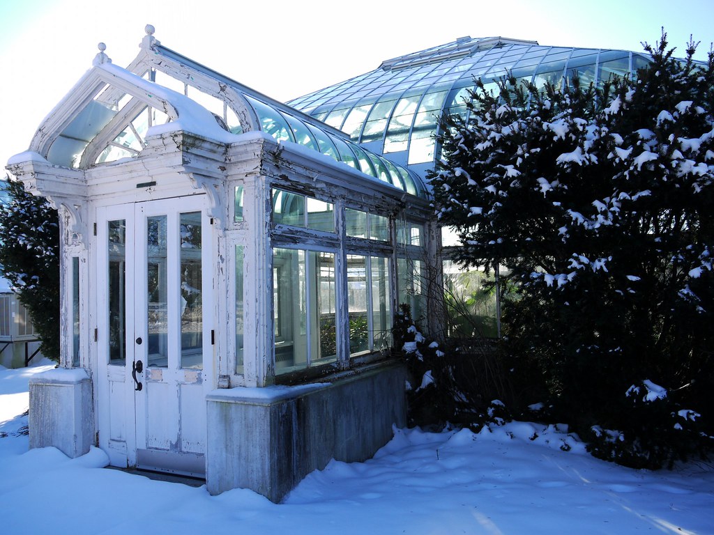 Greenhouse, backlit
