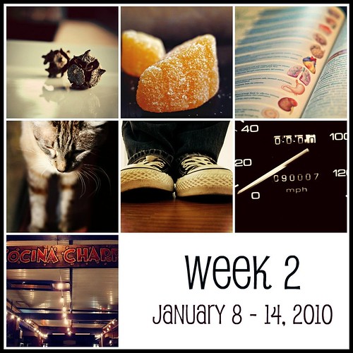 Week 2  (365:2010)