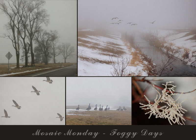 Mosaic Monday - Foggy Days