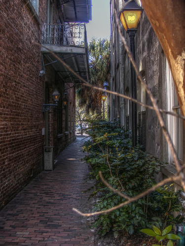An alley in Charleston.
