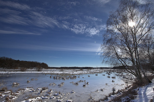 Flooded and iceed Ilmenau meadow #2
