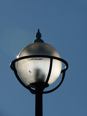 Lamp, by didbygraham on Flickr
