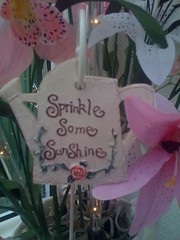 'Sprinkle Some Sunshine!'
