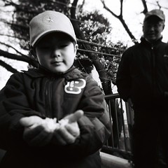 甥っ子とお義父さん桜坂の桜橋にて