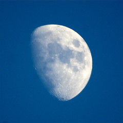 moon50cm