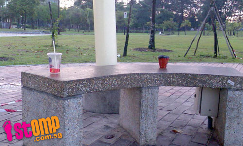  Patrons of nearby McDonald's leave a mess in West Coast Park