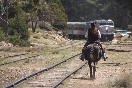 Mule vs. Train