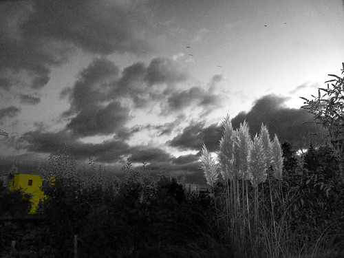 Sky landscapes bw yellow building