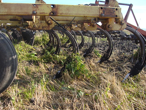 Cultivator Frame, Shanks and Openers