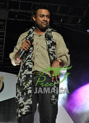 Shaggy Guinness Greatness concert Kingston Jamaica
