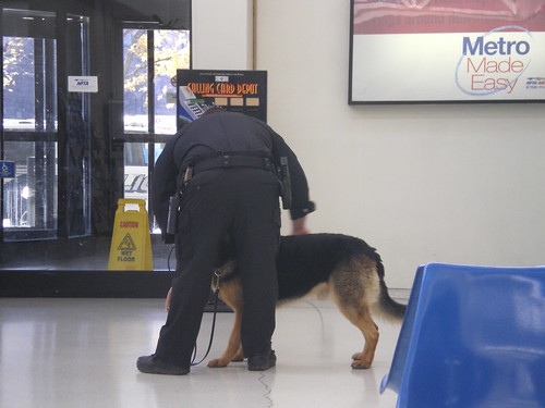 Police Dog at Buffalo Metropolitan Transportation Center