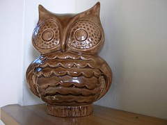 New Owl