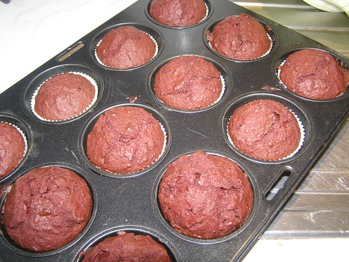 chocolate beetroot muffins