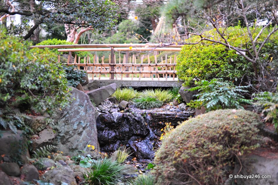 It is nice to see some small bridges in Japanese traditional gardens spanning the water.  Some are curved, maybe painted red, others like this one are more plain, but equally pleasing to the eye.